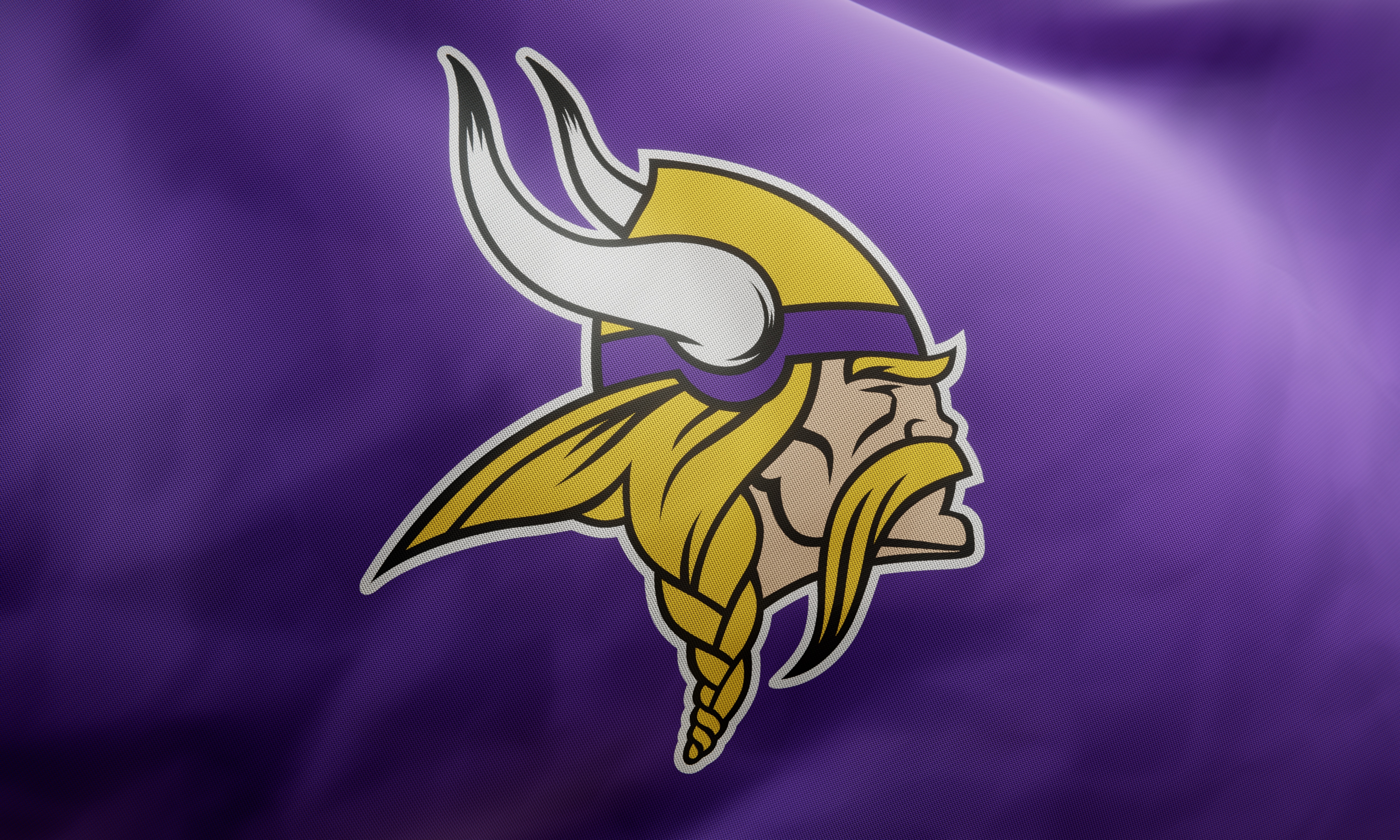 Minnesota Vikings Flag with Mascot Pictures